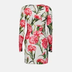 Dolce & Gabbana Carnation Print Dress
