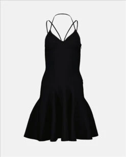 Alexander McQueen Skater Dress